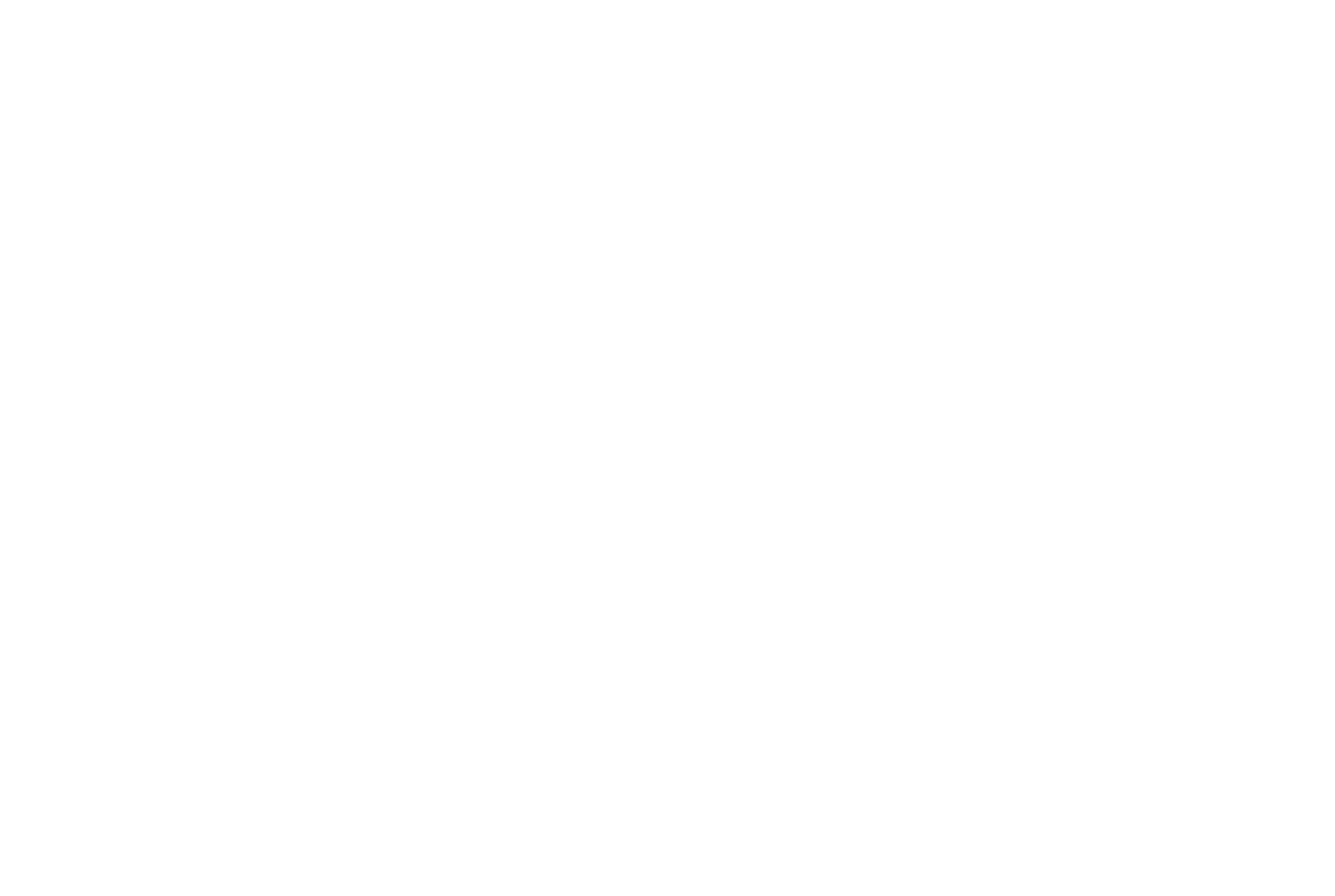 Sam Carchidi Real Estate